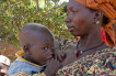 Attachment versus Attachment Parenting