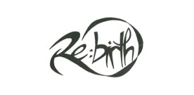 Re:Birth Volume 6