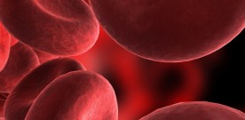 Cord Blood: To Bank or Not?