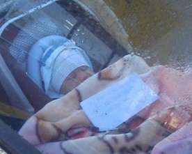 Kids in Cars