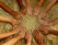 Guest Post: Instinctive Parenting?